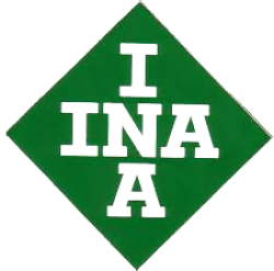 INA Rulman ve INA Bearing